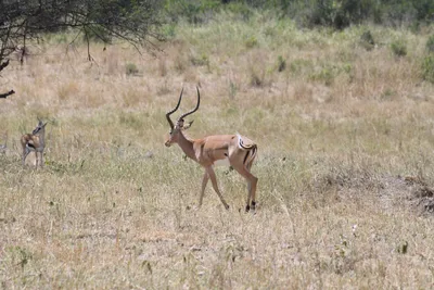 DSC_4019 (Large).JPG